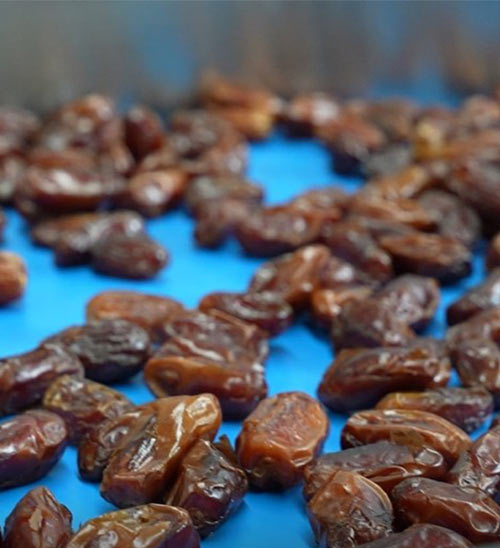 椰枣加工