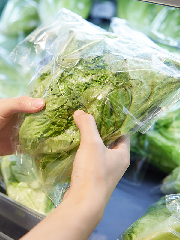 气泡清洗机是蔬菜前处理得力设备