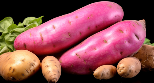 根茎类蔬菜清洗流程