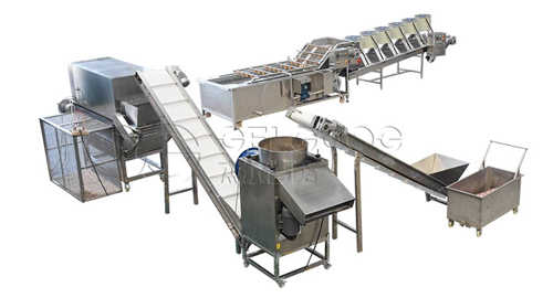 以专注赢得信赖！杰尔古格助力特立尼达和多巴哥HANKS公司大蒜加工升级