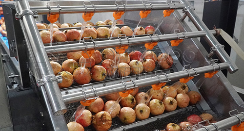 杰尔古格：发挥专业优势 助力乡村振兴