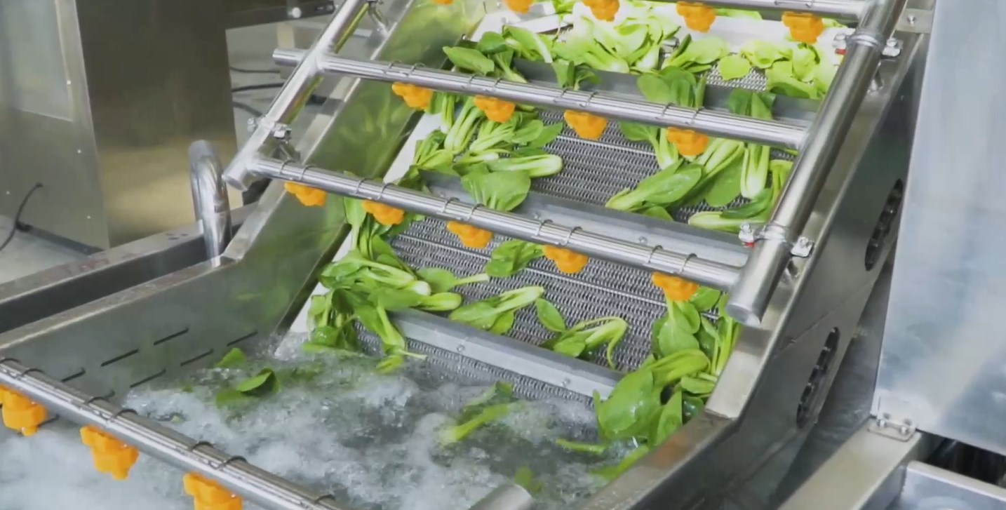 净菜加工厂都需要哪些设备？