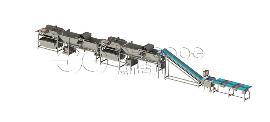 净菜漂烫生产线包含哪些设备？