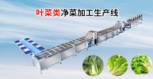 叶菜类净菜加工设备包括哪些？