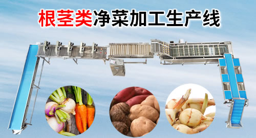 根茎类蔬菜清洗设备及工艺流程
