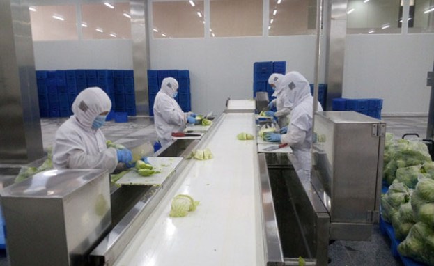 净菜加工需要什么资质