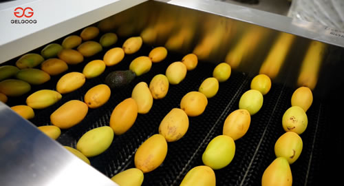 水果清洗分级生产线有哪些设备?