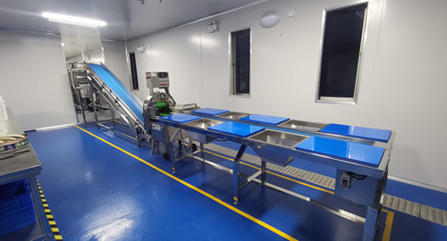 净菜加工车间布置简介