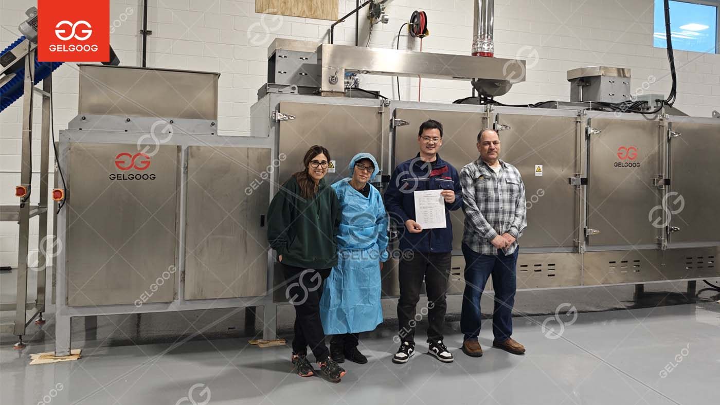 美国花生酱生产项目成功交付-开启2025年新篇章