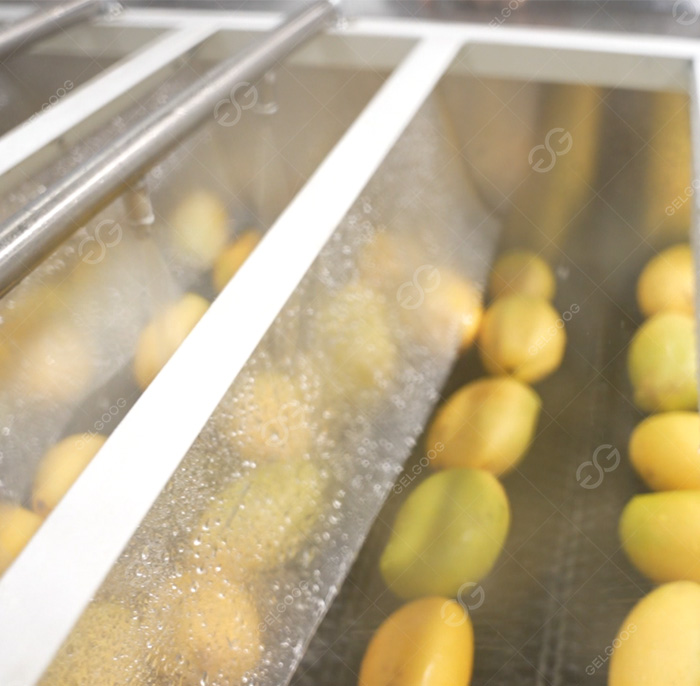 /uploads/images/20250630/13d1e100ac3ebe372fb88d69b220f5bc.jpg||